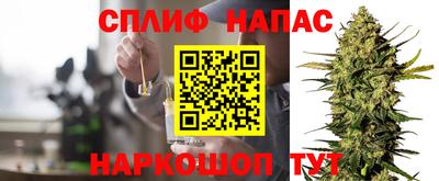бошки Моздок