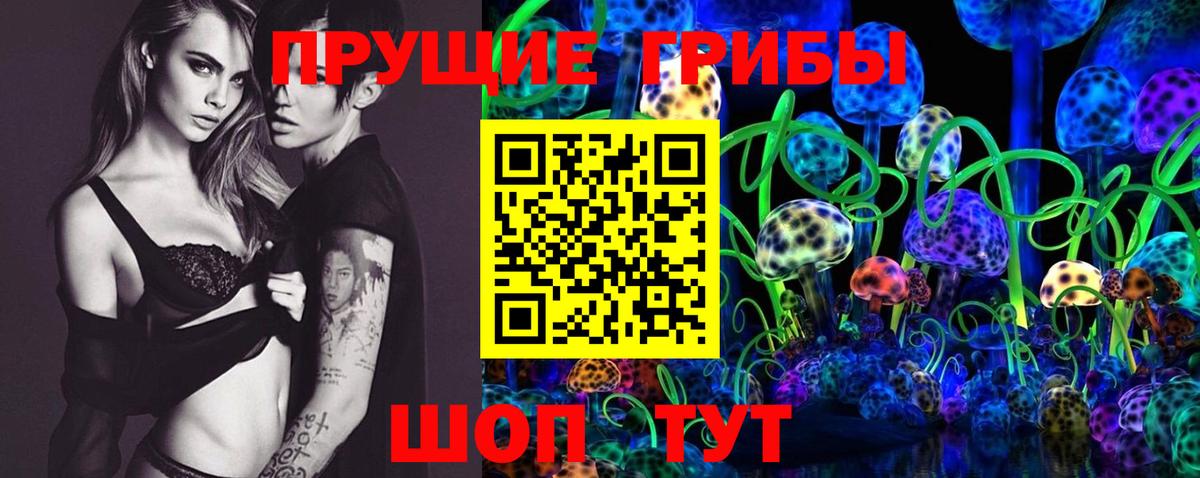 Псилоцибиновые грибы ЛСД  Вход с VPN  Шадринск 